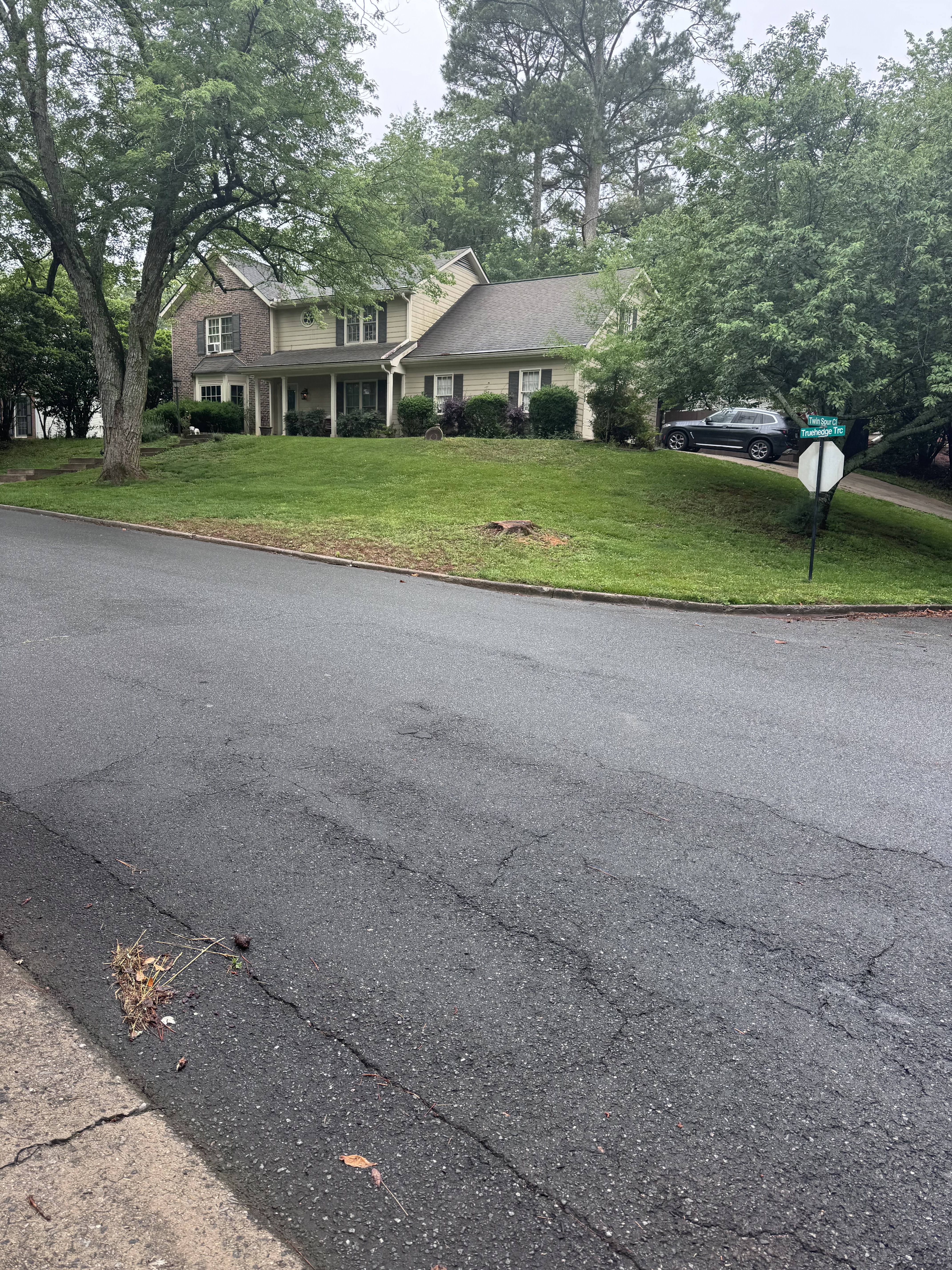 Yard after tree removal